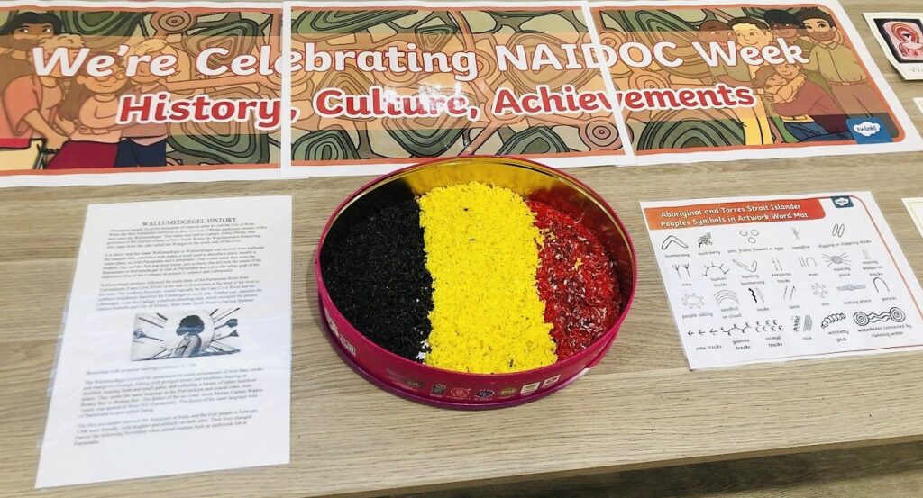 Naidoc